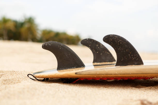 istock Surf board at the beach near ocean. 837321454