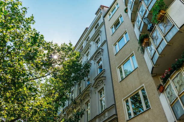 istock grey and brown buildings next to an big tree with small sunlights 837321964