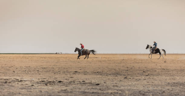 istock Two cowboys horseback riding together on a ranch. 837322094
