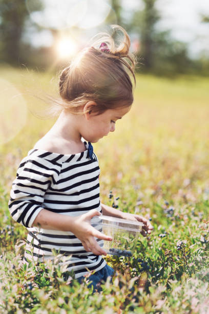 istock Little girl picking blueberries 837349220