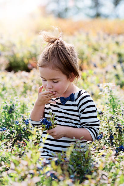 istock Little girl picking blueberries 837349248
