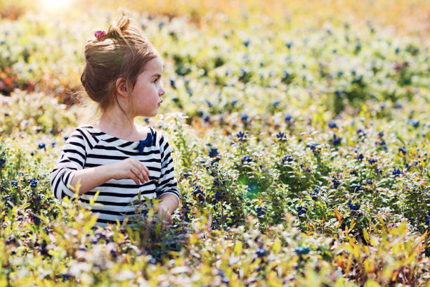 istock Little girl picking blueberries 837349278