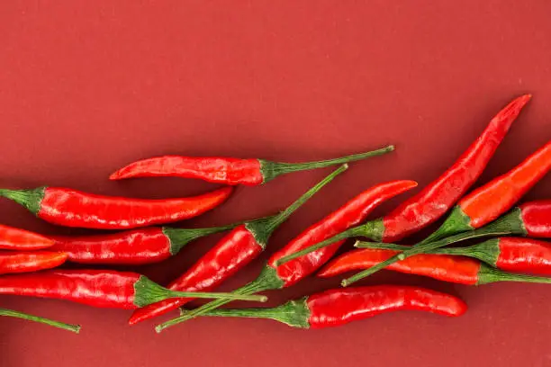 Photo of red hot chili peppers, popular spices concept - beautiful collage of uniformly distributed red hot chili pepper pods on red background, top view, flat lay, free space for your text