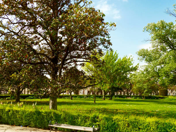 istock Royal Palace of Aranjuez garden 837349864