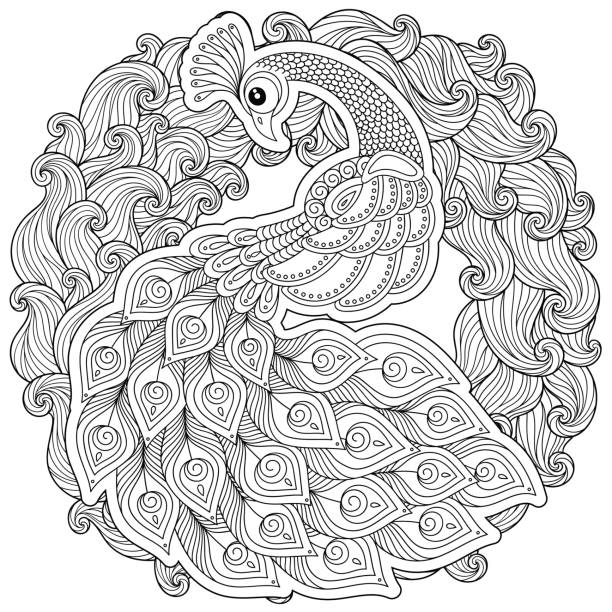 ilustraciones, imágenes clip art, dibujos animados e iconos de stock de pavo real en estilo doodle. página para adultos antiestrés para colorear. - feather peacock ornate vector