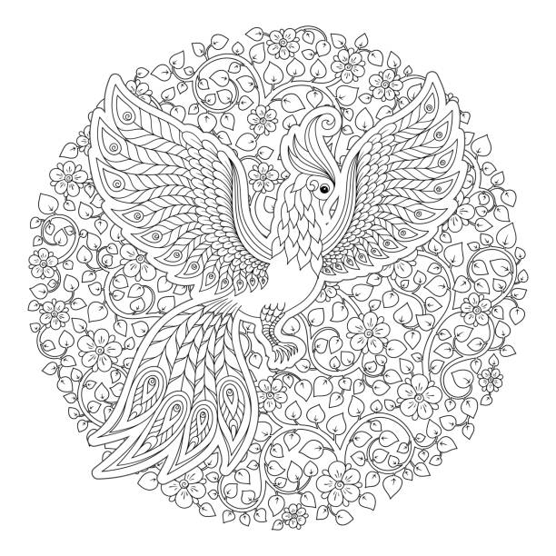 ilustrações, clipart, desenhos animados e ícones de pássaro de fogo para anti stress coloring page com detalhes de altas. - white background bouquet beautiful studio shot