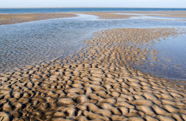 ドイツ: 乾燥落とされた海底と広い干潟フリジア ワッデン海の景色 - flowing blue rippled environment ストックフォトと画像