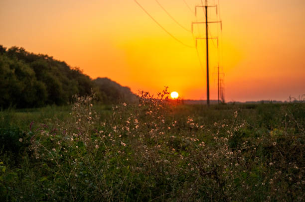 istock Green Field and Beautiful Sunset 837400968