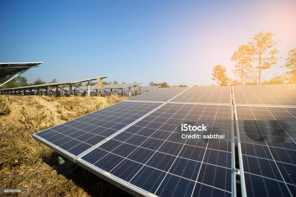 energia solar fazenda verde da luz do sol - Foto de stock de Azul royalty-free