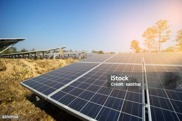 Foto de Energia Solar Fazenda Verde Da Luz Do Sol e mais fotos de stock de Azul - Azul, Campo, Célula
