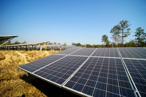 istock solar farm green energy from sun light 837401168