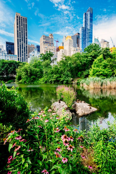 istock Central Park, south side, Manhattan, USA 837401972