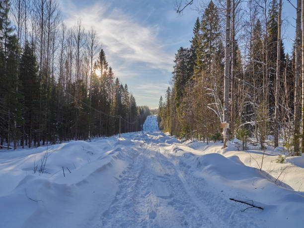 istock Road in the forest. Winter 837402556