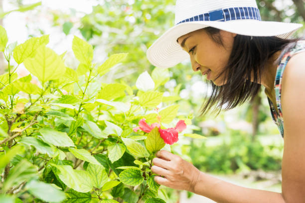 istock Woman looking flower 837417362