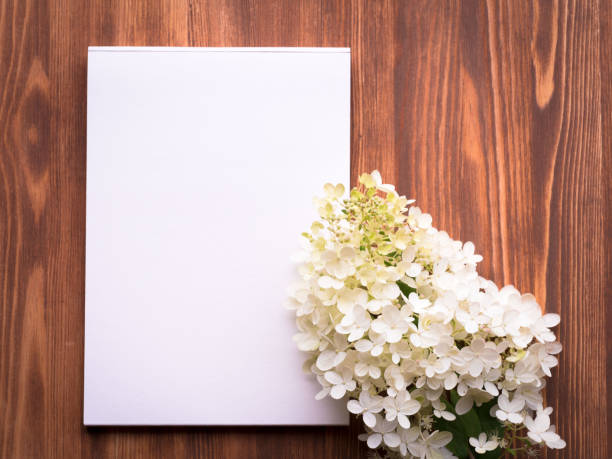 istock Billboard with blank sheet for notes and white flower hydrangeain abstract blank wooden background. Notebook with empty space. 837418272