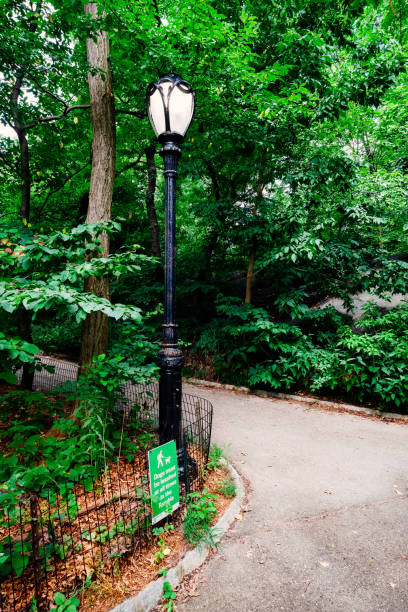 istock Central Park, quiet area, Manhattan, USA 837421710