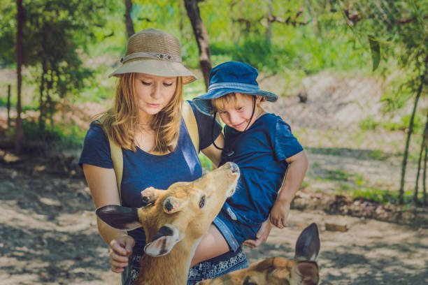 istock Mother and son feeding beautiful deer from hands 837429900