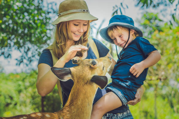 istock Mother and son feeding beautiful deer from hands in a tropical Zoo 837429948