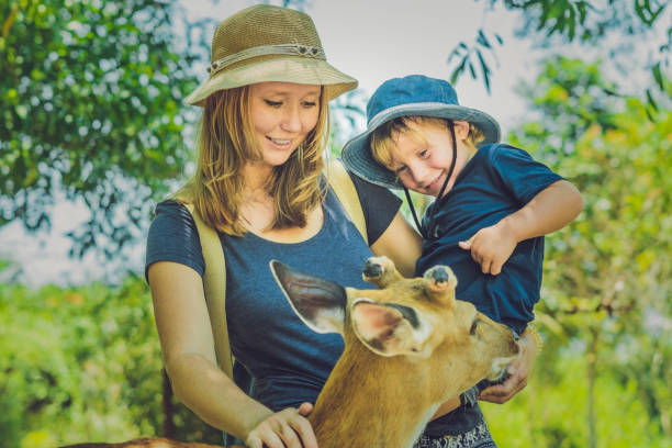 istock Mother and son feeding beautiful deer from hands in a tropical Zoo 837429962