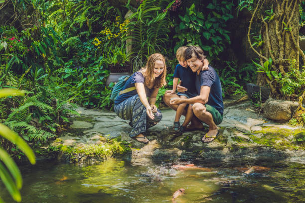 istock Smooth rocks and pond on a tropical forest background 837430384