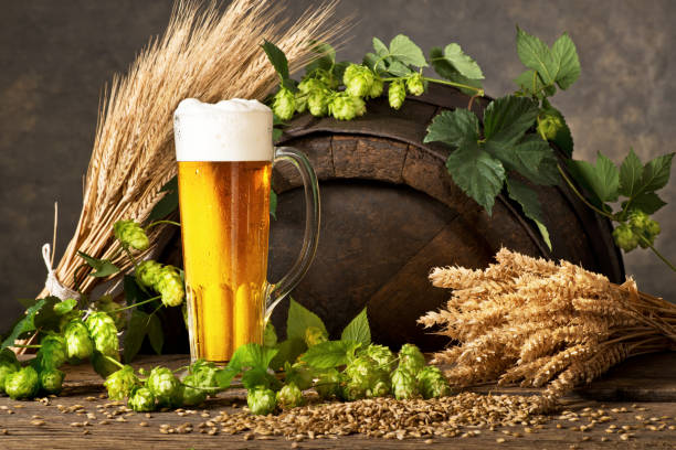 istock Beer Glass with Hops and Rw Material for Beer Production. 837446500