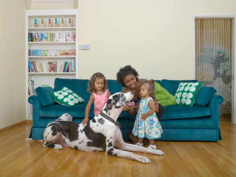 mother, 2 daughters and dog in living room