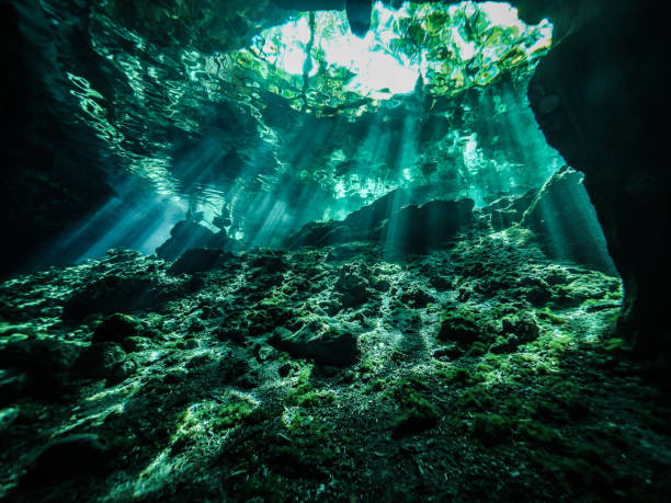 istock Cenote diving in Cancun, Mexico 837461142