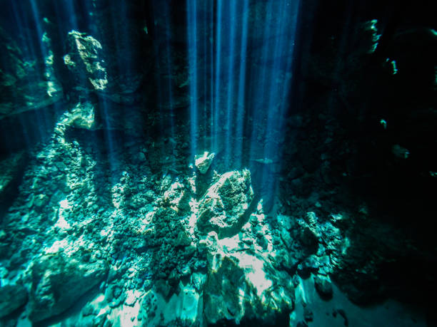 istock Cenote diving in Cancun, Mexico 837461324