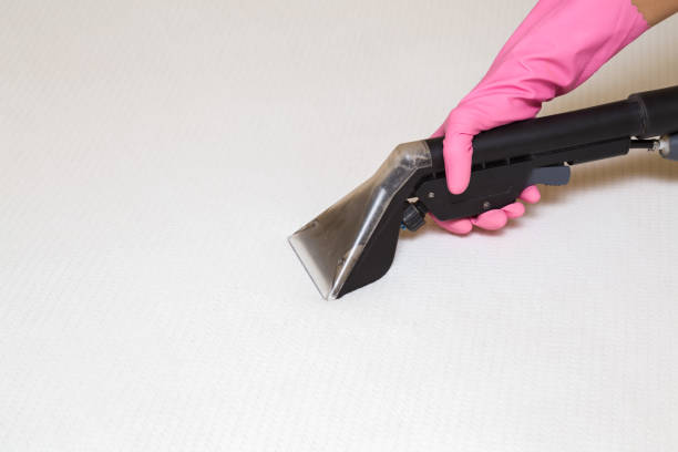 istock Mattress or bed chemical cleaning with professionally extraction method. Hand in rubber protective glove holding nozzle of extractor. Upholstered furniture. Early spring or regular clean up. 837467868