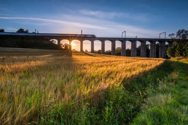 Photo of Train on River Aln Viaduct