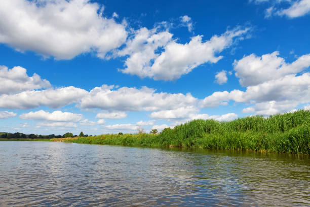 istock Blue cloudy summer sky over Bug river, Poland, Europe 837483766