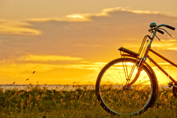 istock bicycle silhouette at the sunset or sunrise 837490282