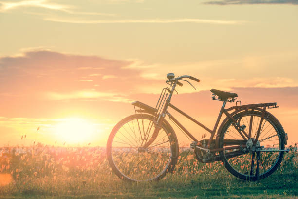 istock bicycle silhouette at the sunset or sunrise 837498434