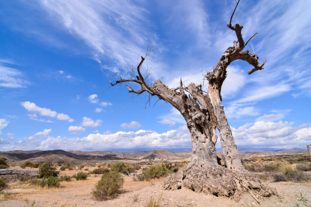 Desert Tabernas in Almeria Province Spain