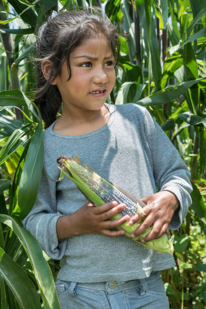 istock Mexican girl with corncob 837507090