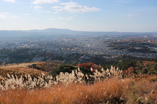 Nara shi , one of olddest city in japan, the city view on the top of mount wakakusa