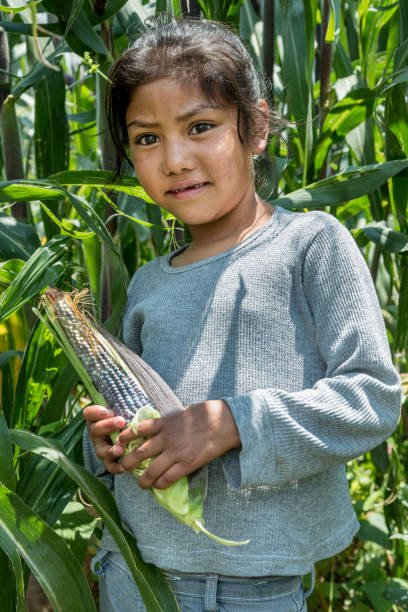 istock Mexican girl with corncob 837513268
