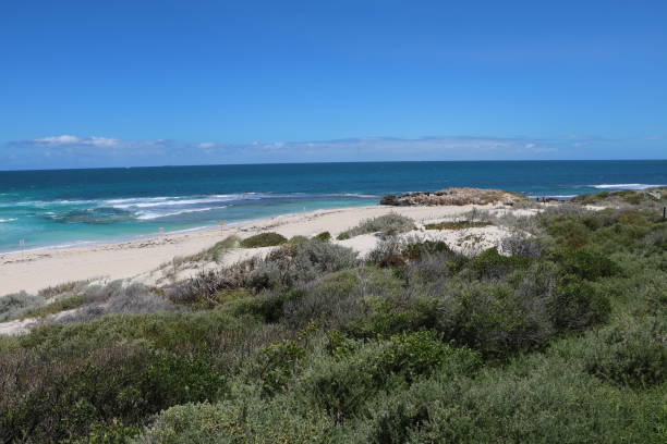 istock Trigg Beach in Perth Western Australia, Australia 837515330