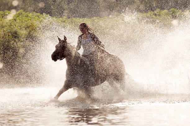 istock Young horse rider running in the river 837527096