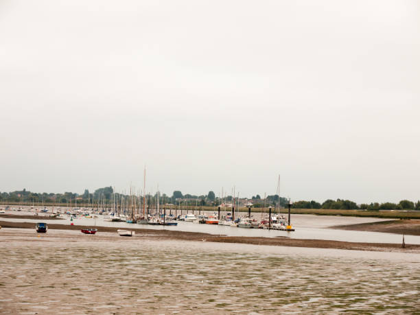 wiele zacumowanych łodzi zaparkowanych w rzece spokojny pochmurny biały dzień - marina lake nautical vessel water zdjęcia i obrazy z banku zdjęć