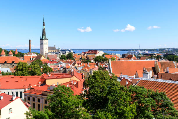 istock Tallinn old town city panorama in summer 837533444