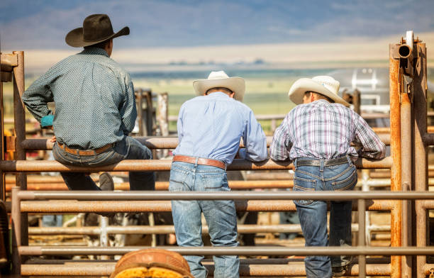 istock Three Cowboys Behind the Scenes during a Practice Rodeo 837534674