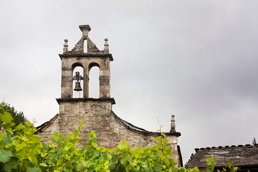 San Facundo de Ribas de Miño church bell tower, monastery, vineyard leaves in the foreground in Ribeira Sacra area, Lugo province, Galicia, Spain. Copy space available on the right.