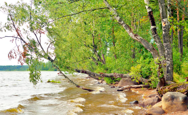 istock Shore of the lake. 837549514