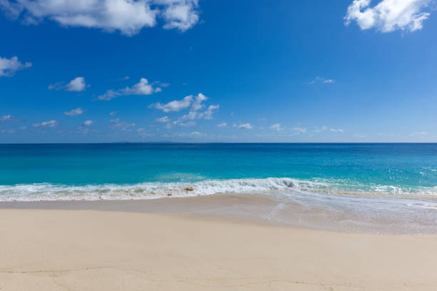 istock white sand beach and turquoise colored ocean 837553430