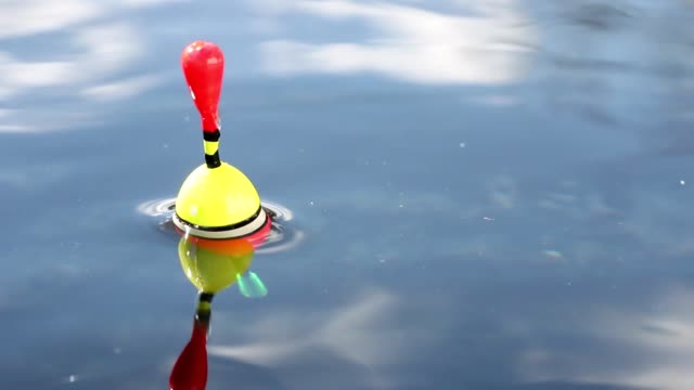 610+ Fishing Float Stock Videos and Royalty-Free Footage - iStock  Glass fishing  float, Fishing float on white, Fishing float isolated