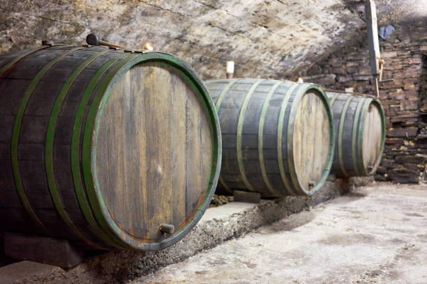 istock Oak barrels for viticulture in a row 837575940
