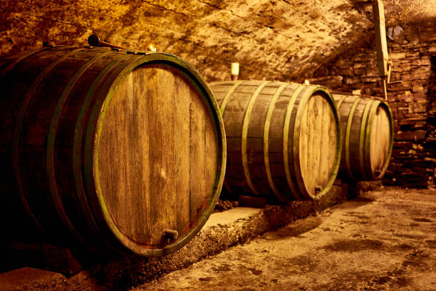istock Oak barrels for viticulture in a row 837576512