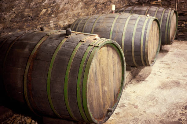 istock Oak barrels for viticulture in a row 837576540