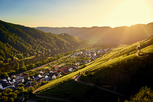 Sunset over vineyards of Moselle